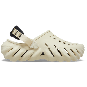 36 / Bone